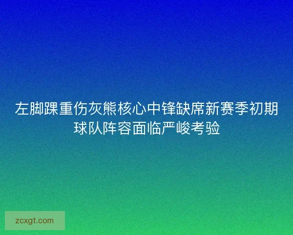 左脚踝重伤灰熊核心中锋缺席新赛季初期球队阵容面临严峻考验